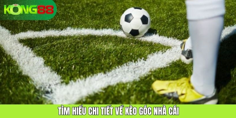 Tìm hiểu chi tiết về kèo góc nhà cái